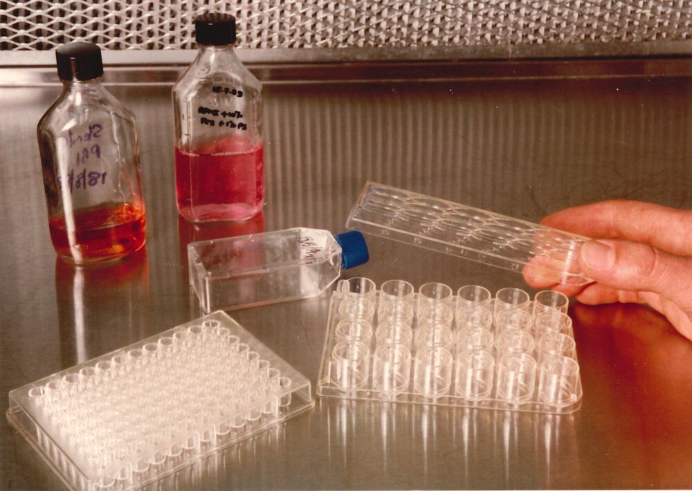 Biochemical Processing Centre - 58