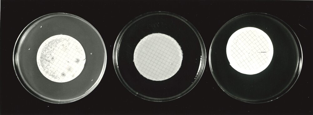 Petri dish - 5