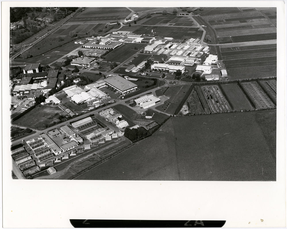 Grasslands: aerial view