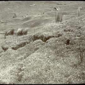Tension crack above a slip
