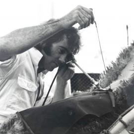 Invermay laparoscopy of sheep - 4 of 4