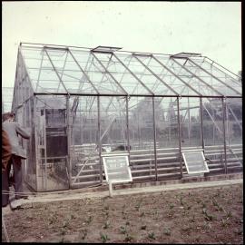 Glasshouse, Grasslands
