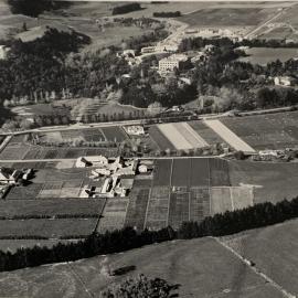 Grasslands Division aerial photograph, 1949