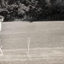 Social cricket game - 1 of 4