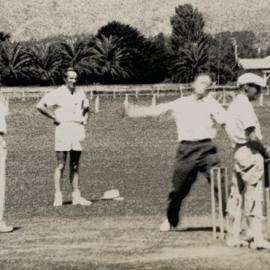 Social cricket game - 2 of 4