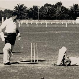 Social cricket game - 3 of 4