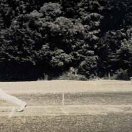 Social cricket game - 4 of 4