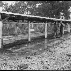 Viewing a dairy feeding station