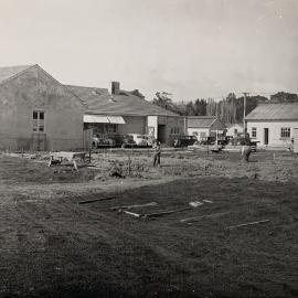 Grasslands under construction in 1953