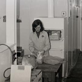 Wool Metrology - 2 of 7