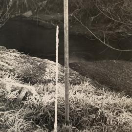 Water tap icicle - 1 of 2