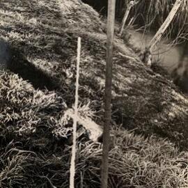 Water tap icicle - 2 of 2