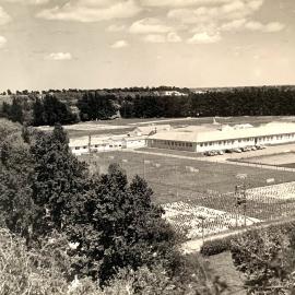 Grasslands - Summer/Spring - 1958