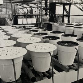 Soil Chemistry Laboratory - 5 of 6