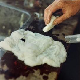 Bees and pollination - 1 of 2