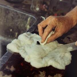 Bees and pollination - 2 of 2