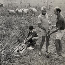 Soil samples - testing