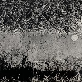 Soil profiles - 1 of 3
