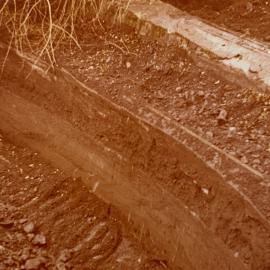 Soil profiles - 2 of 3 