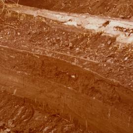 Soil profiles - 3 of 3