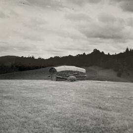 The resulting haystack after a clean up before top dressing