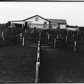 Sheep yards and pens, Ruakura: with other buildings