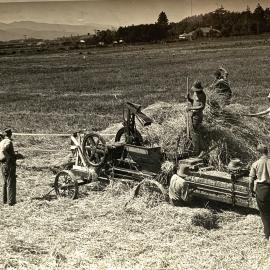 Baling hay in Canterbury