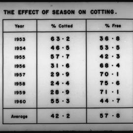Effect of the season on cotting