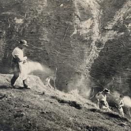 Hand topdressing at Te Awa