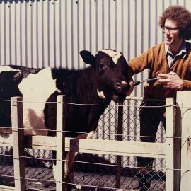 Beef drenching at Aorangi - 1 of 2