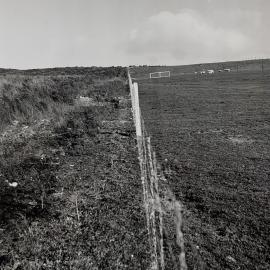 Kaikohe Farm 1962 - 1 of 4