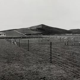 Kaikohe Farm 1962 - 2 of 4