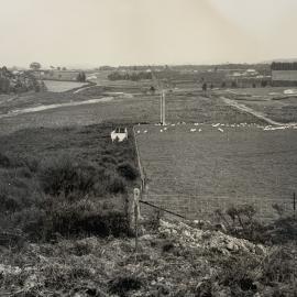 Kaikohe Farm 1959 - 2 of 13