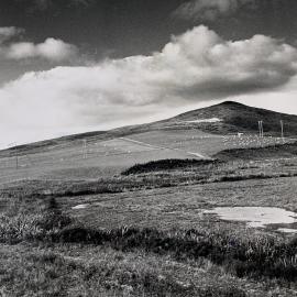 Kaikohe Farm 1959 - 8 of 13