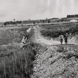 Kaikohe Farm 1959 - 6 of 13
