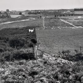 Kaikohe Farm 1959 - 11 of 13