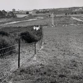 Kaikohe Farm 1959 - 13 of 13
