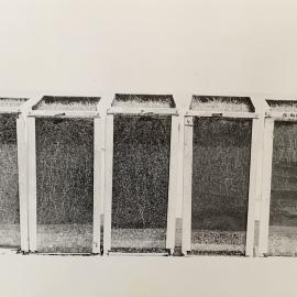 Growing turf in sand