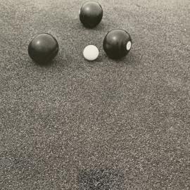 Cotula turf and the bowling green - 7 of 8