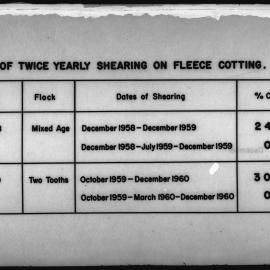 Effect of twice-yearly shearing on fleece cotting