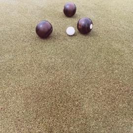 Cotula turf and the bowling green - 3 of 8