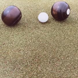 Cotula turf and the bowling green - 2 of 8