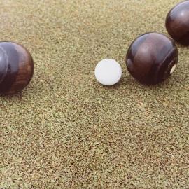 Cotula turf and the bowling green - 1 of 8