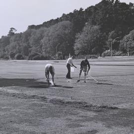 Preparing turf plots of sowing - 2 of 2