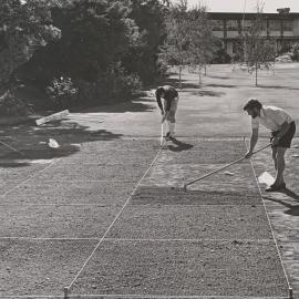 Preparing turf plots for sowing - 1 of 2