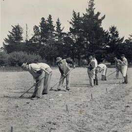 Spaced plants at Grasslands - 7 of 7