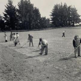 Spaced plants at Grasslands - 6 of 7