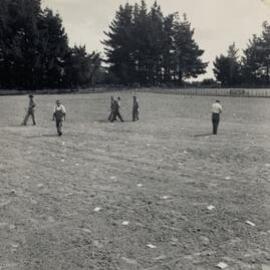Spaced plants at Grasslands - 5 of 7