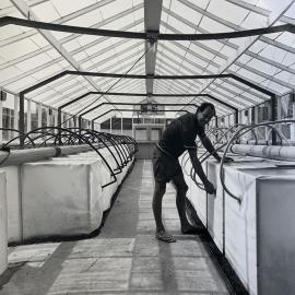 Growth chamber - 1 of 2