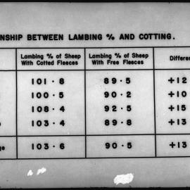 Relationship between lambing percent and cotting